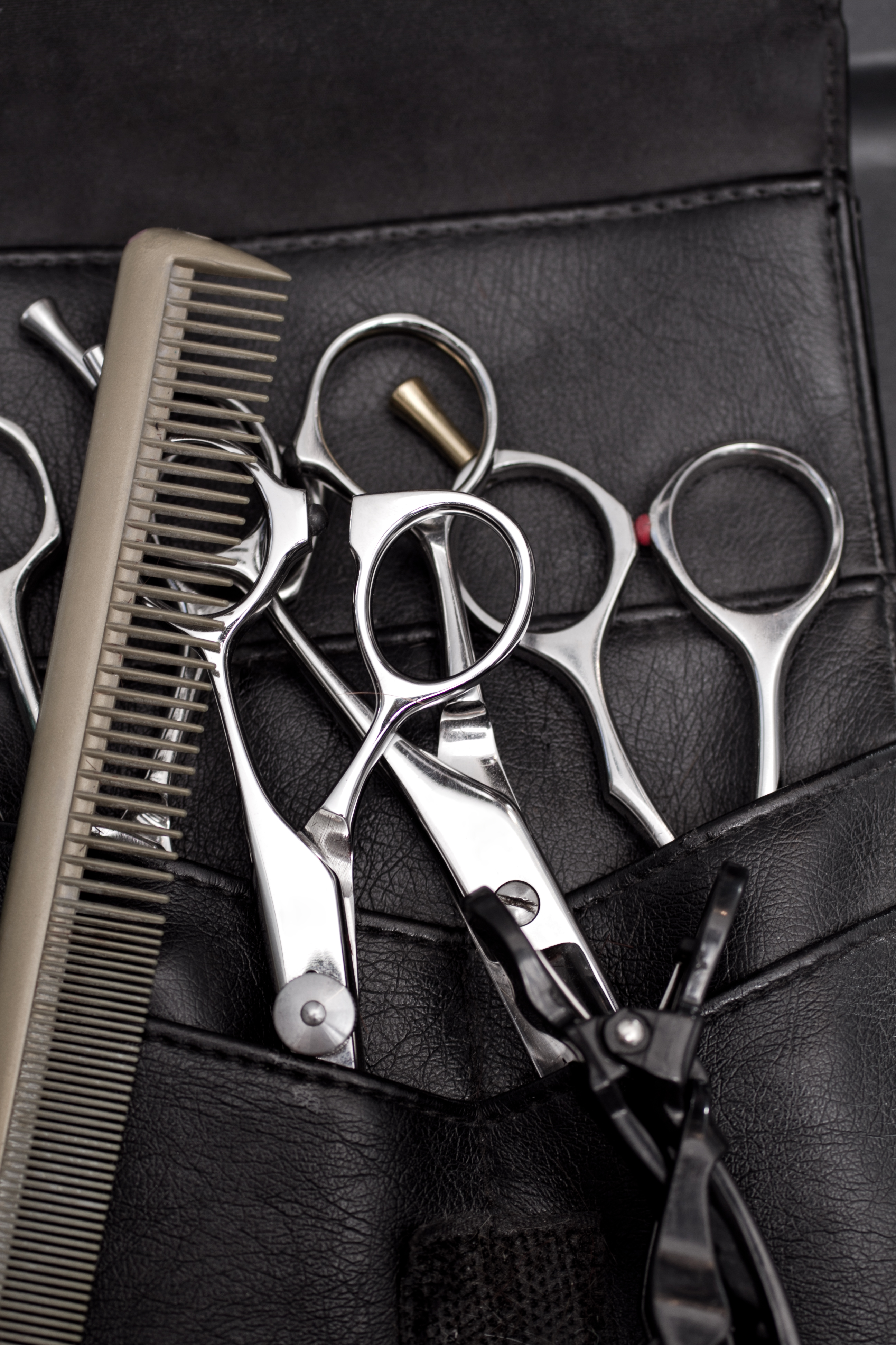 shutterstock_132916139